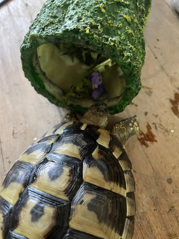 Bonnie and Clyde enjoying breakfast