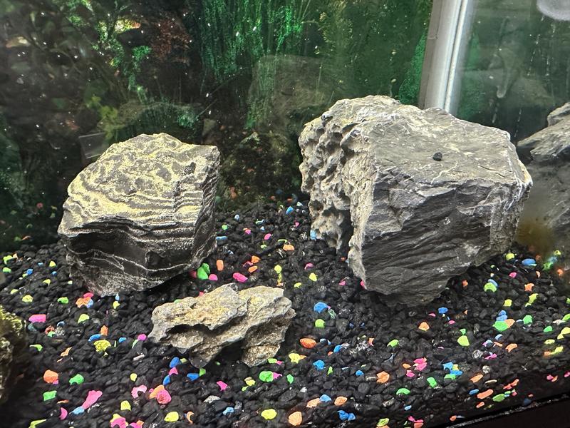 Large Lot Of Natural Zebra Rock / White Tiger Stone – Polished, 38-45 Lbs, For Aquarium Or Collection