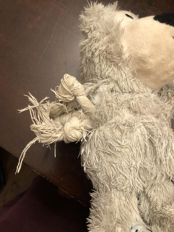 Poor Bear didn’t stand a chance