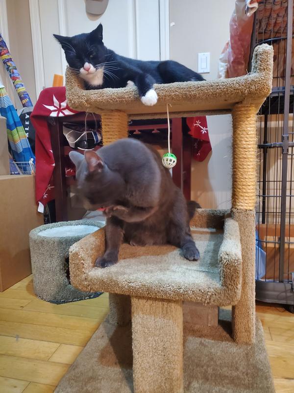 New Cat Condos 2 Level Tan Cat Play Perch, 32