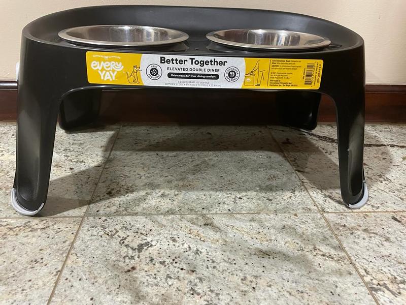 Elevated Feeders for Dogs: Yeah or Nay?