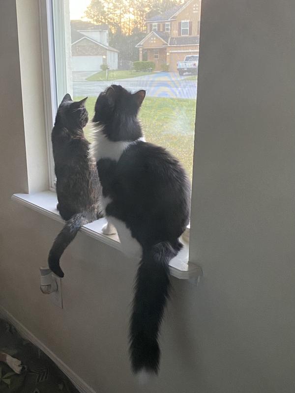 Clementine and Lily