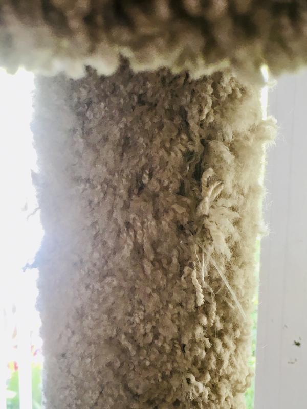carpet coming loose
