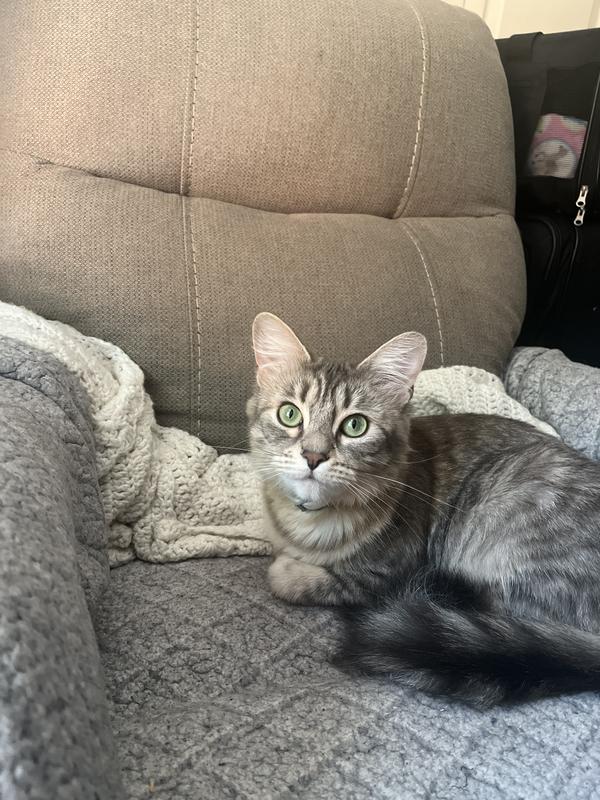 My Pppuuurrrffffeeecccctttt princess angel!!!!