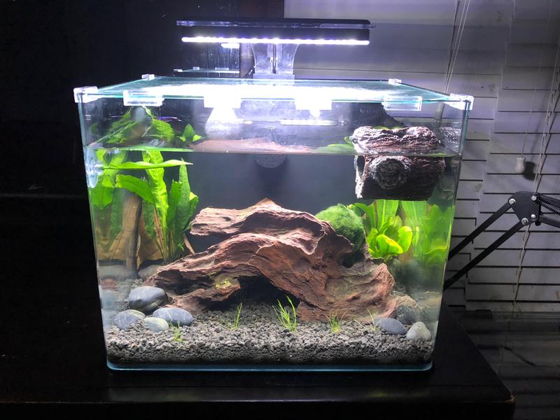 imagitarium 6.8 gallon aquarium