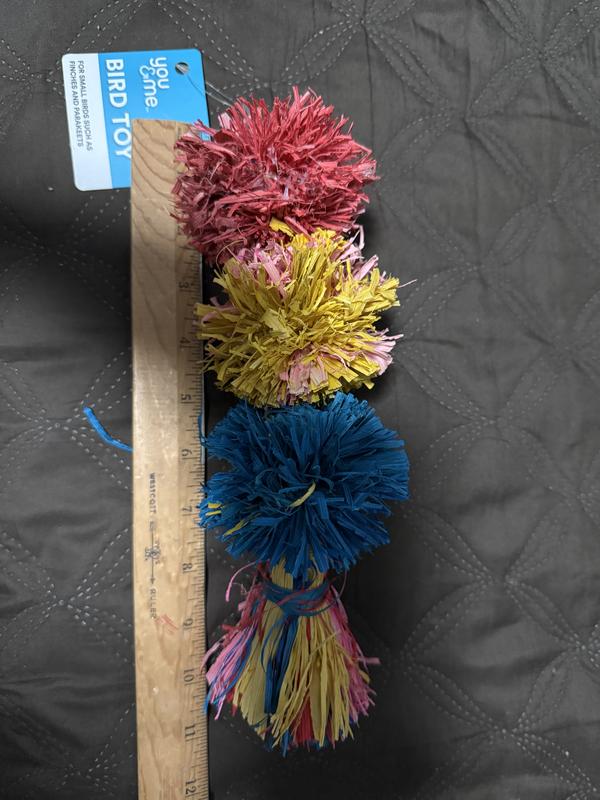 Over 11 inches long and over 3 inches wide.  Made for a much larger bird