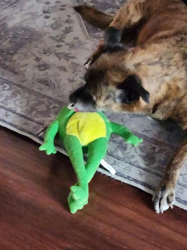 Leaps & Bounds Plush Long-Limbed Frog Dog Toy, X-Large