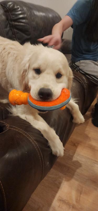 "Hey, this fits perfectly with my other toys!"