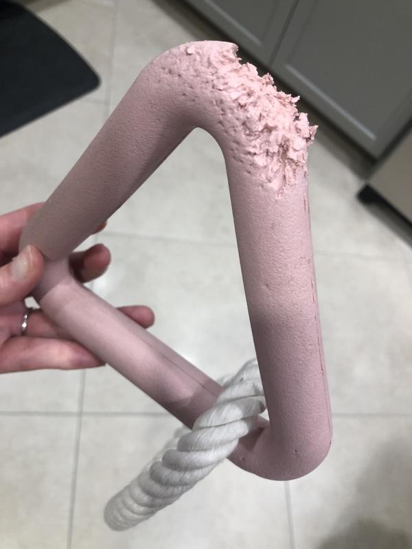 Chewed through