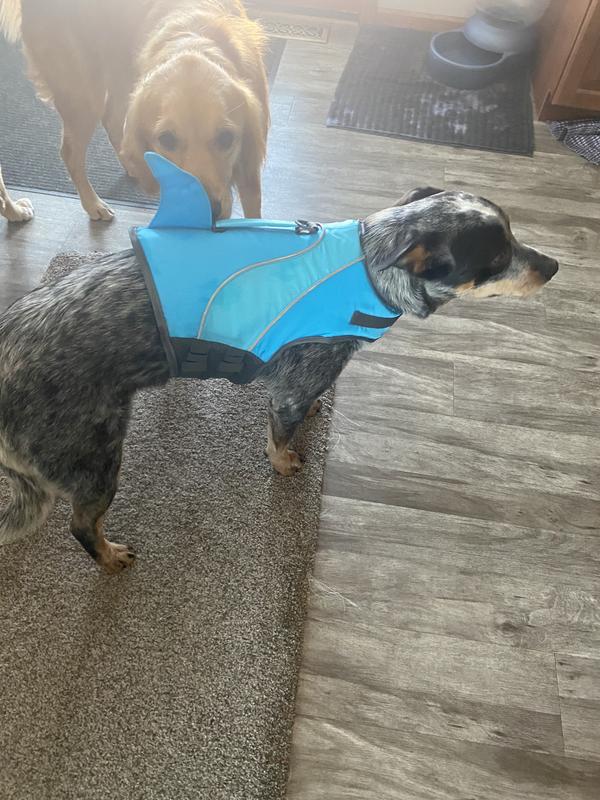 I look pretty good in blue