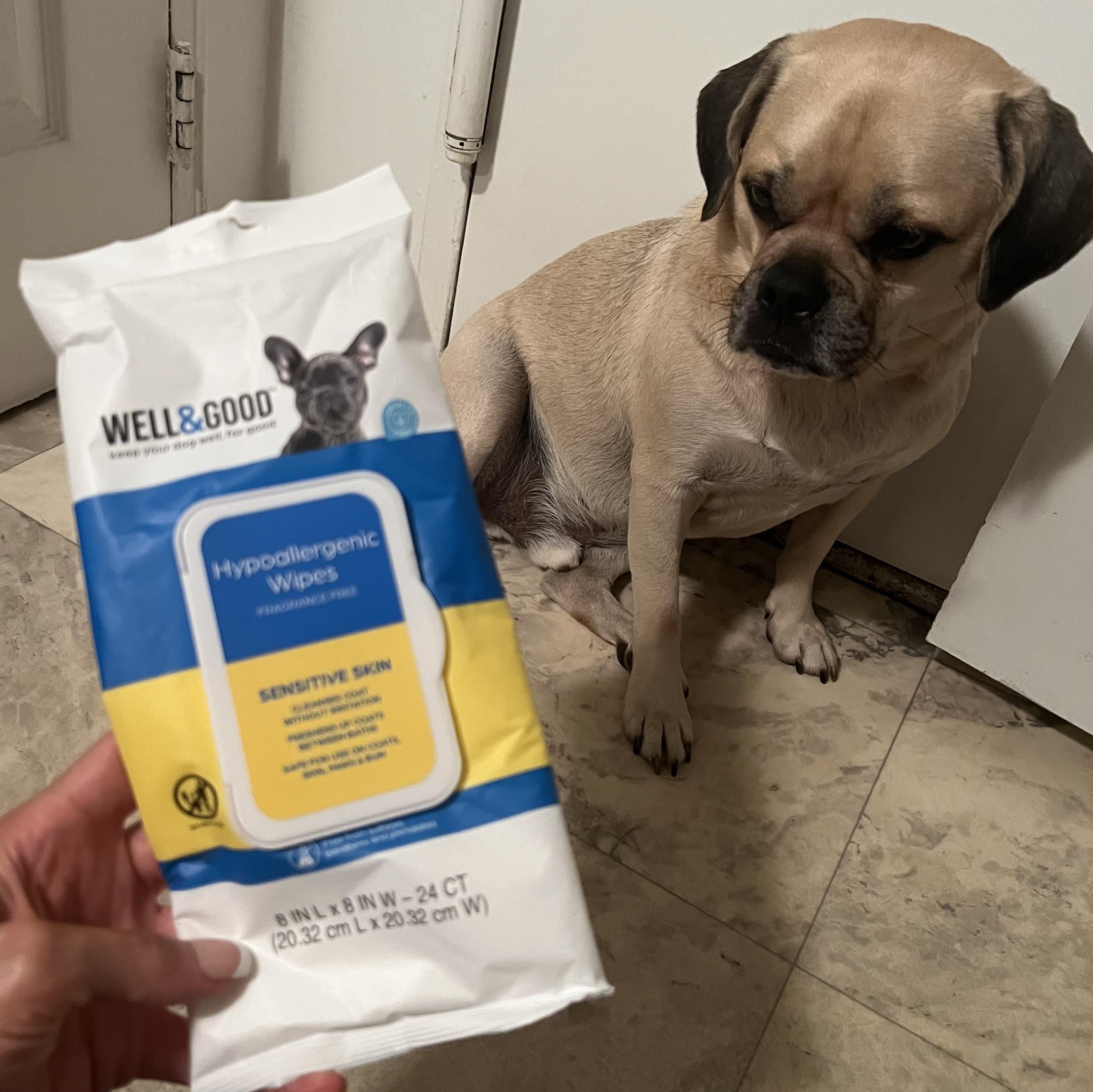 Well Good Hypoallergenic Dog Wipes Count of 100 Petco