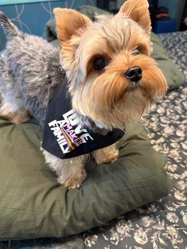 Yet another position to wear the bandana.