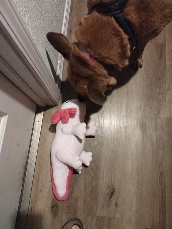 Love my new toy.