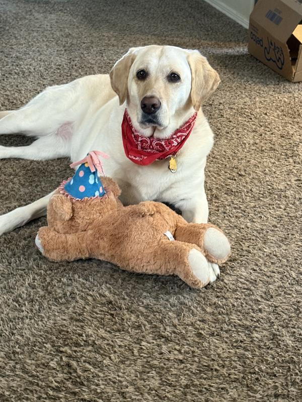Happy birthday to me!