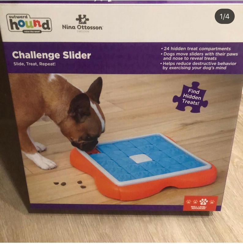 Pet Supplies : Outward Hound Nina Ottosson Challenge Slider Interactive  Treat Puzzle Dog Toy, Advanced 