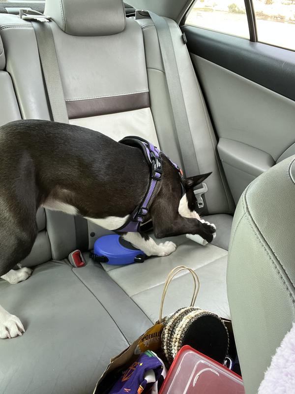 In the car