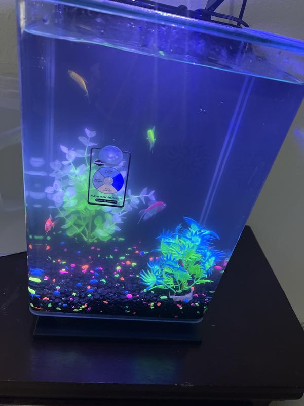 Glofish 10 Gallon Aquarium Fish Tank Kits, Includes LED Lighting and Décor  