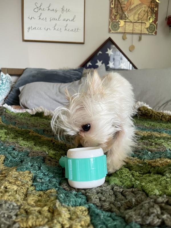Gigi & her cactus!