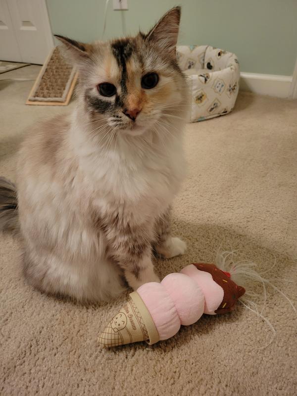 Leaps Bounds Plush Ice Cream Cat Toy Petco
