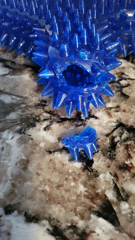 Spiny bone piece missing