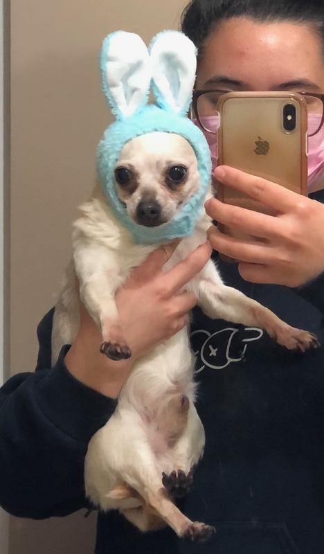 Blue Bunny Bonnet Size XS/S