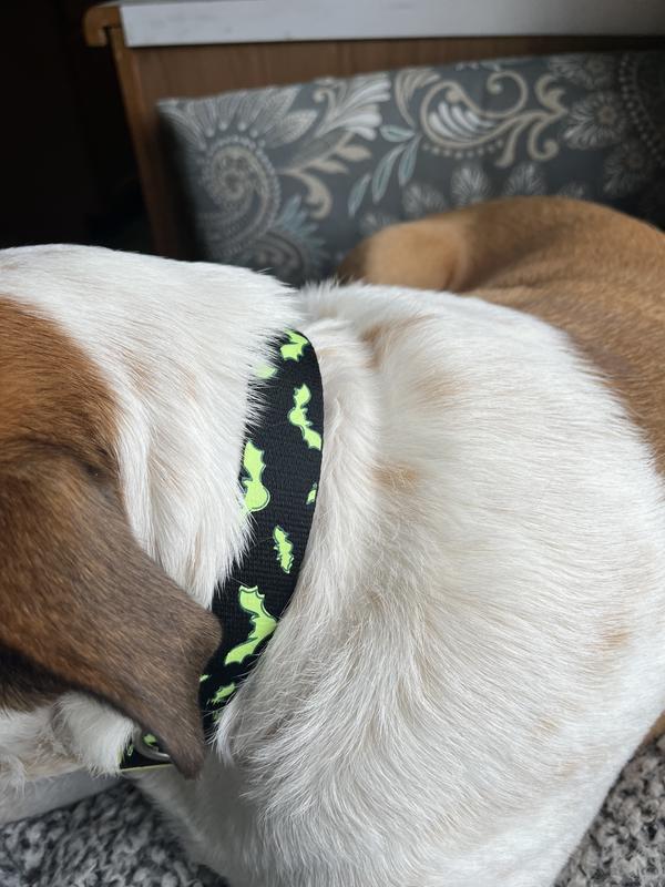 A closer look. Again, above her regular collar line, so it would be easier to see.