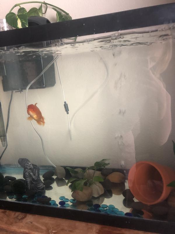 Huge bubbles out of only the end