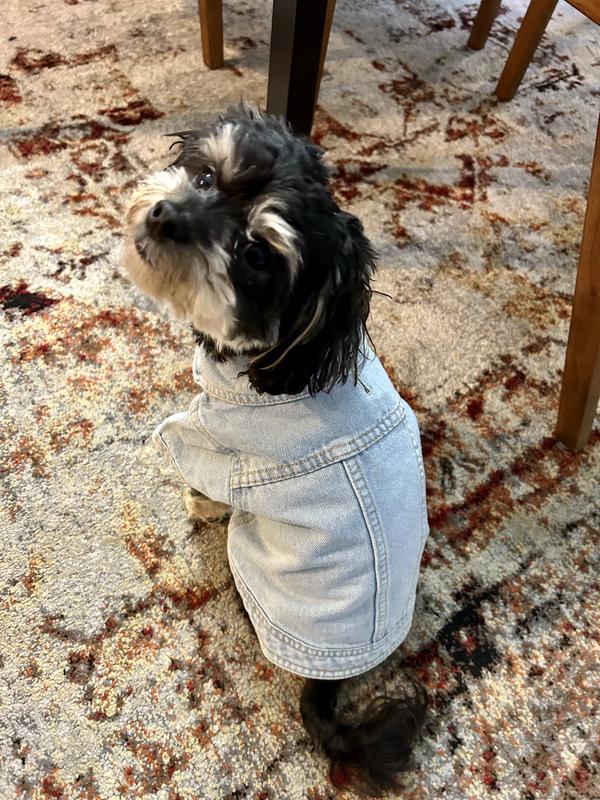 Dog store denim shirt