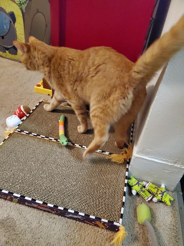 Playtime