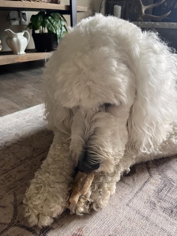Dug right into this chew!