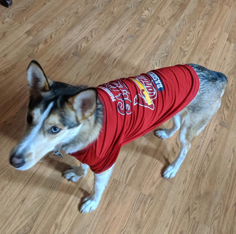 Pets First St. Louis Cardinals Large Dog T-Shirt