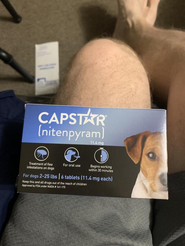 Capstar Flea Tablets for Dogs 2 25 lbs. Count of 6 Petco