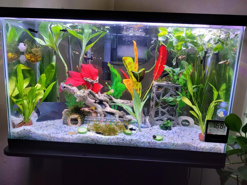 Tower aquarium outlet