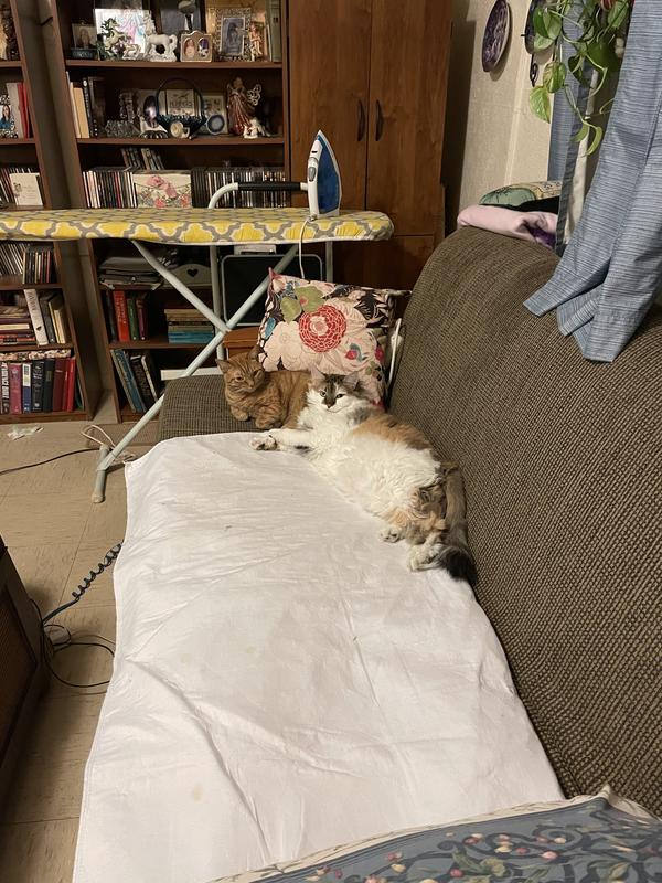 Is this mellow enough to prove it works? Without Optimum they do not get along at all