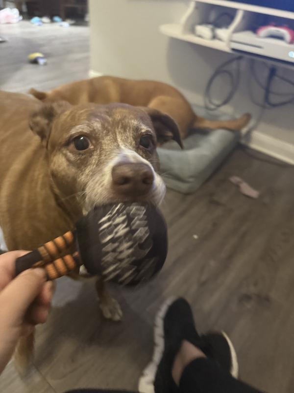 Playing with Halloween toys!