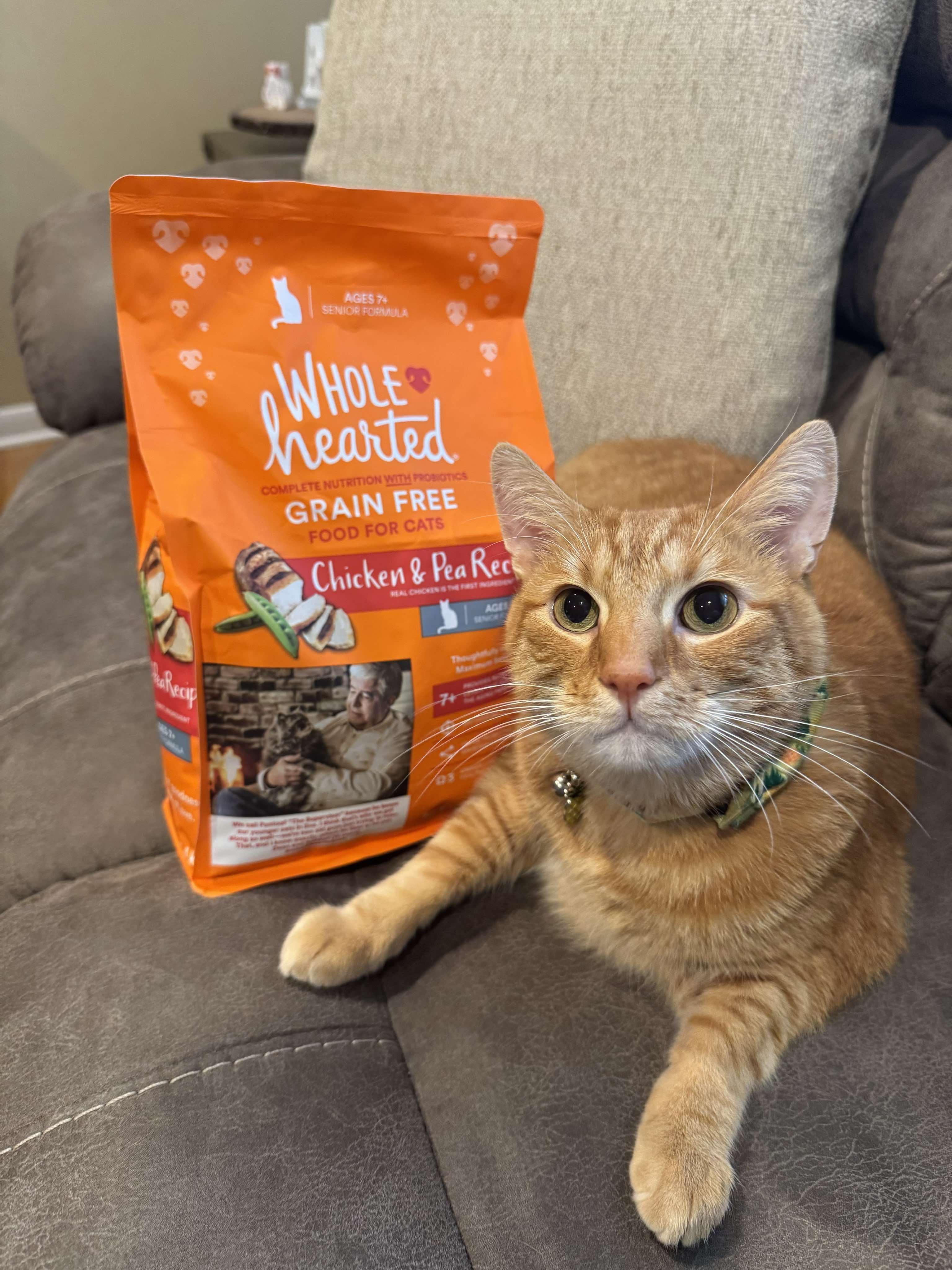Wholehearted senior cat food new arrivals