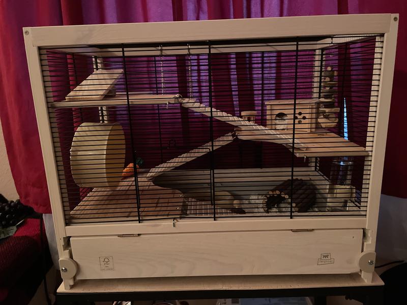 Langham hamster outlet cage