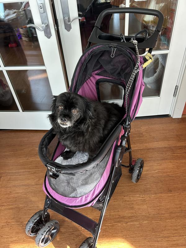 Doggie stroller