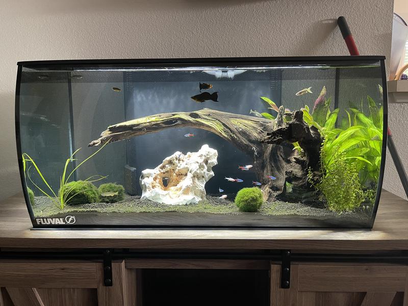 Fluval Flex 32.5 Gallon Aquarium Kit with Bright Lights Filter