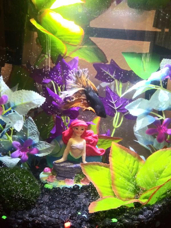 Penn Plax The Little Mermaid Ariel on Rock Aquarium Ornament, 1.75" L X 2.8" W X 3.1" H