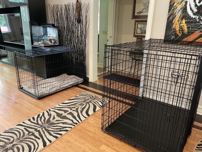 54 inch dog store crate with divider