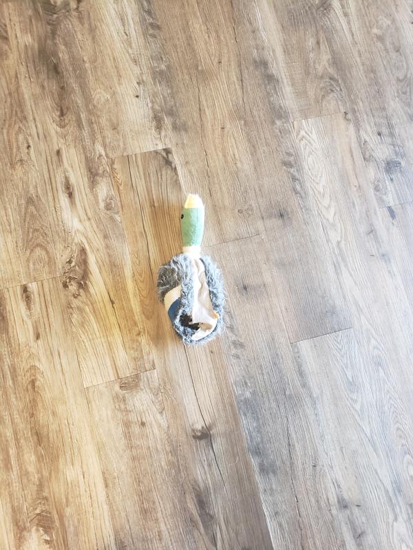 Completely chewed out