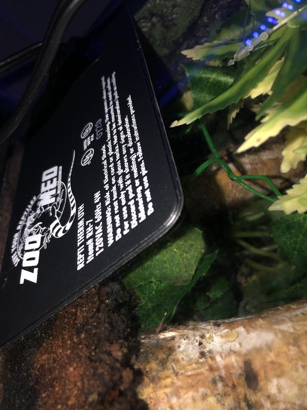 Zoo Med ReptiTherm Under Tank Heater – The Bio Dude