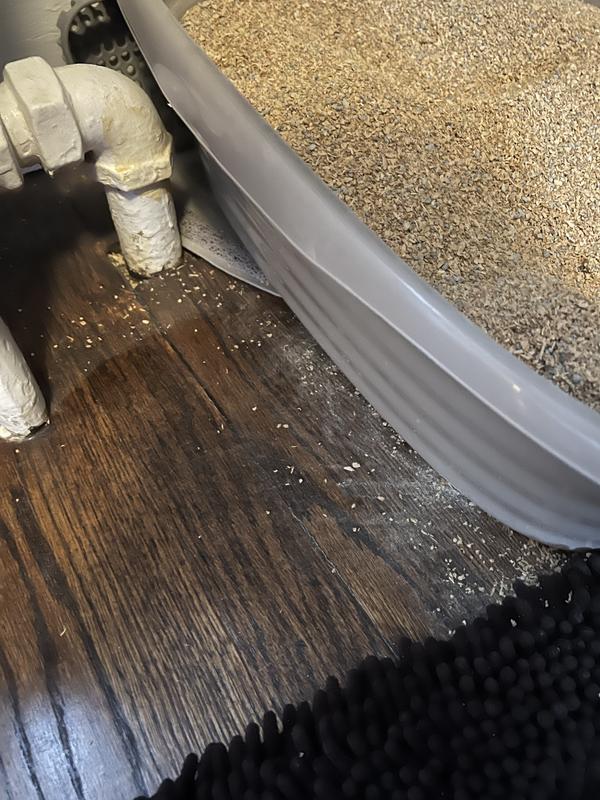 The daily dust coverage this terrible litter produces