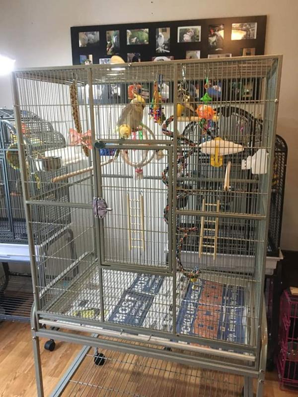 A&E Cage Company Flight Bird Cage in Platinum | Petco