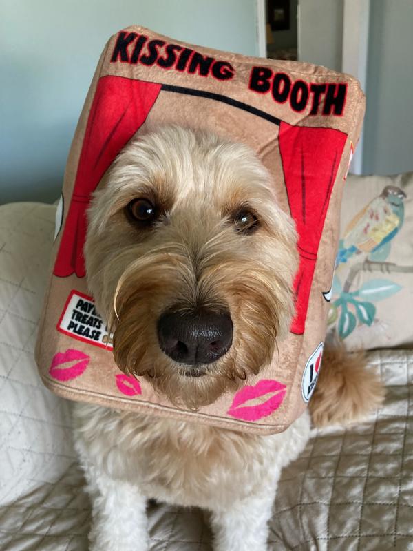 Bootique Kissing Booth Dog Headpiece for Halloween