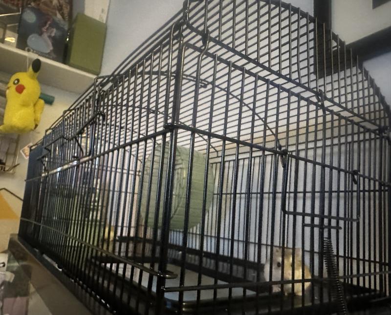 EveryYay 20 Gallon Hamster & Gerbil Tank Topper