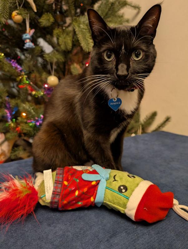 Photo - commentaire&nbsp;1.