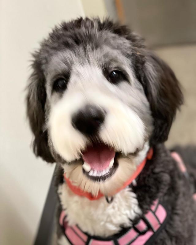 All smiles