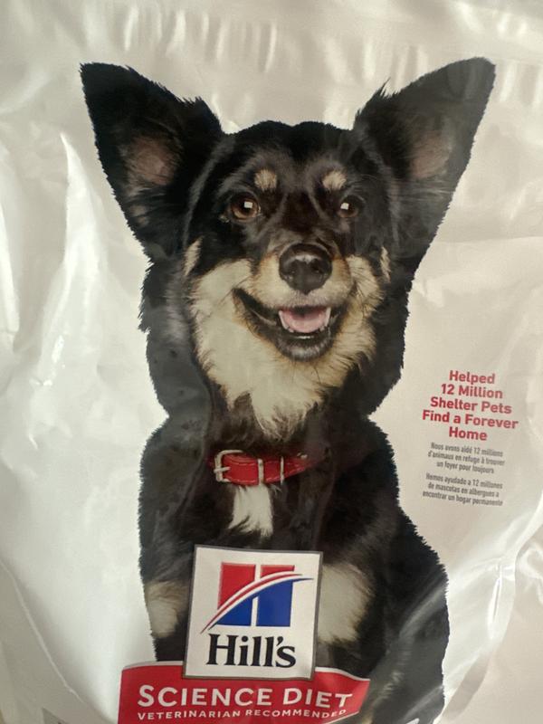 Food bag